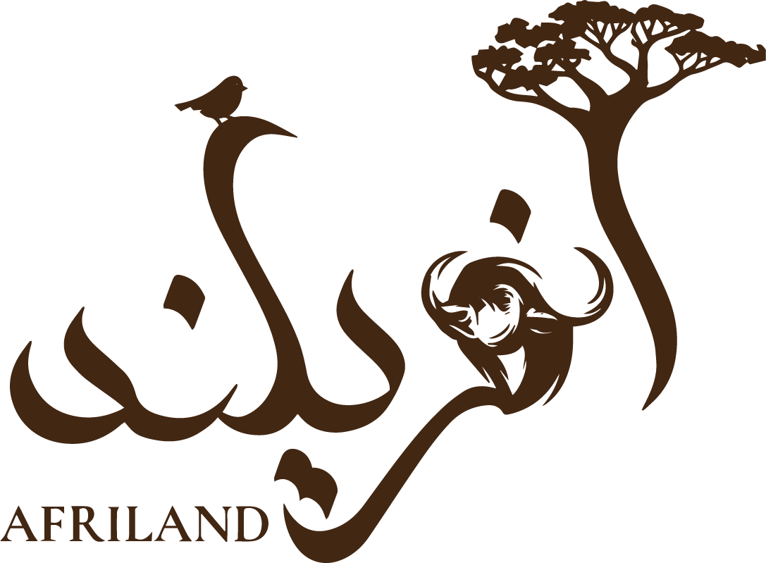 سرزمین آفریلند